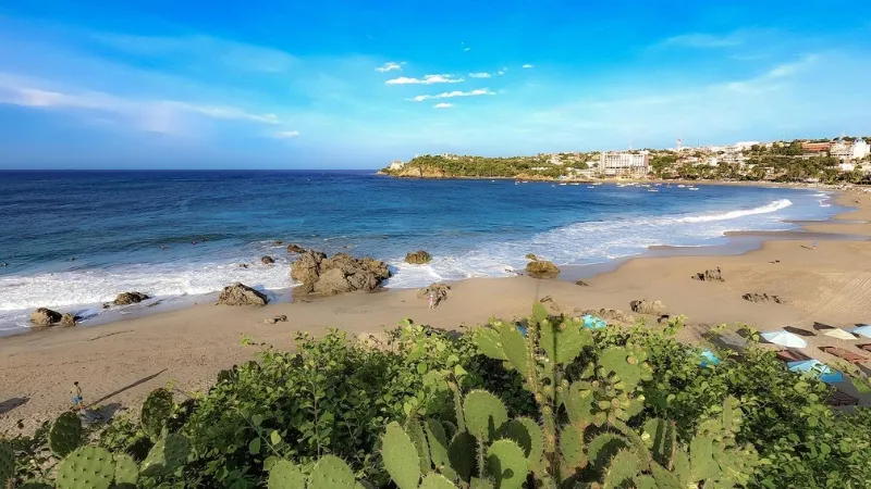 Playa Marinero viewed from the land looking out to sea, taken from behind some green cactus plants in the foreground